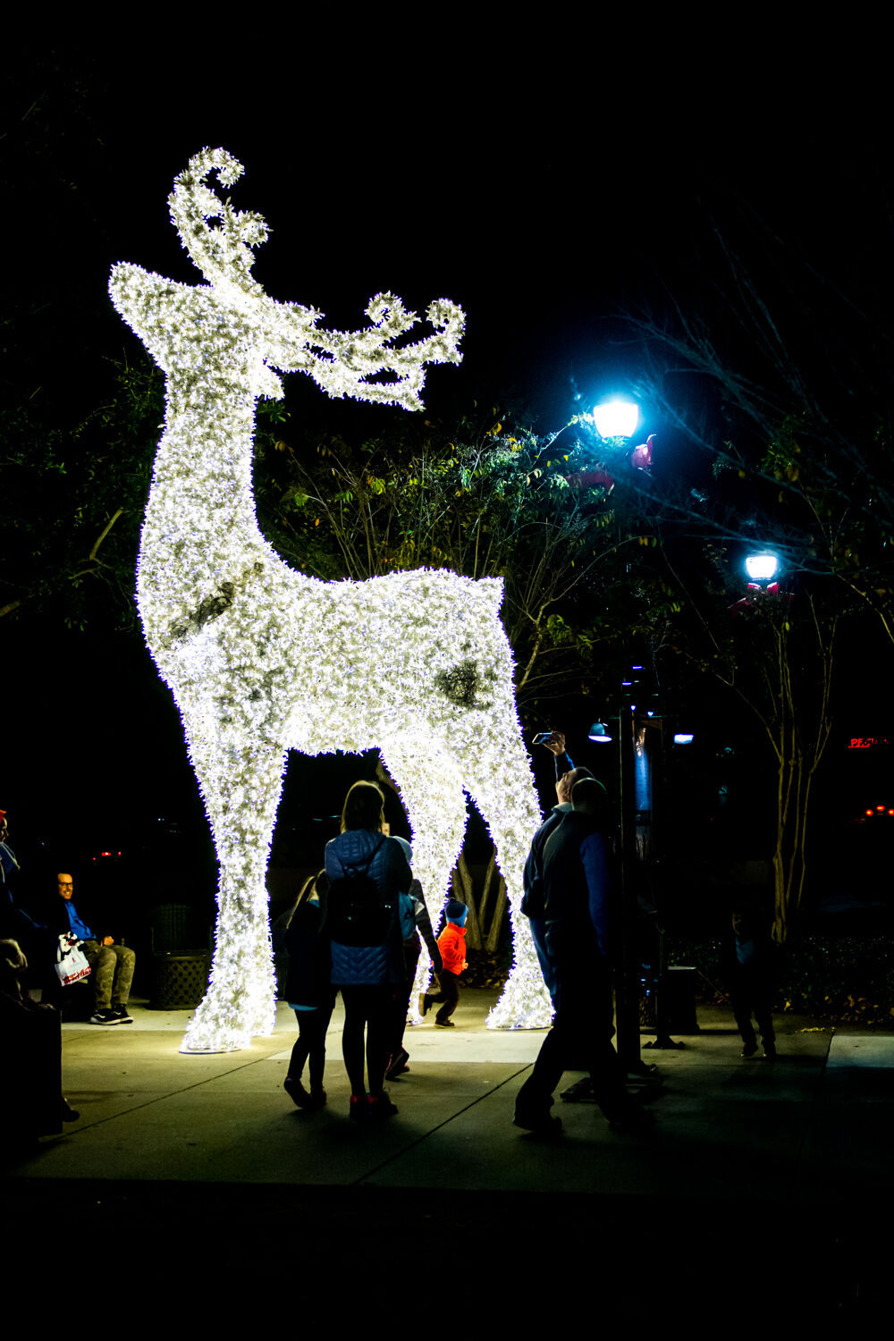 Towne Centre holiday